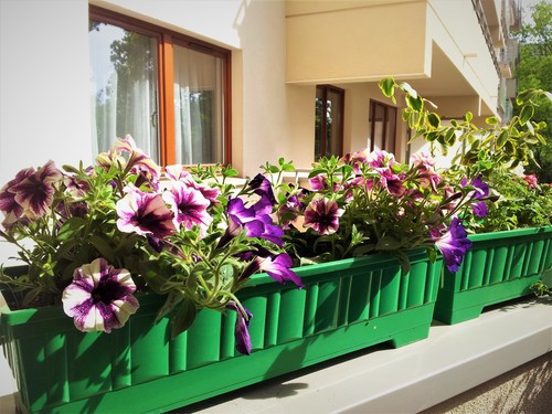 Własna, zielona enklawa w mieście - odpoczynek na balkonie alternatywa dla ogrodu